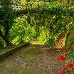 Villa Infinito, Terre Marine Levanto