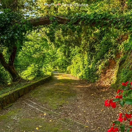 Villa Infinito, Terre Marine Levanto