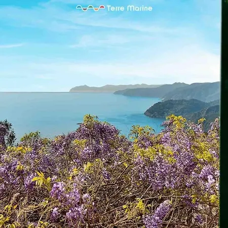 Villa Mesco 360, Terre Marine *