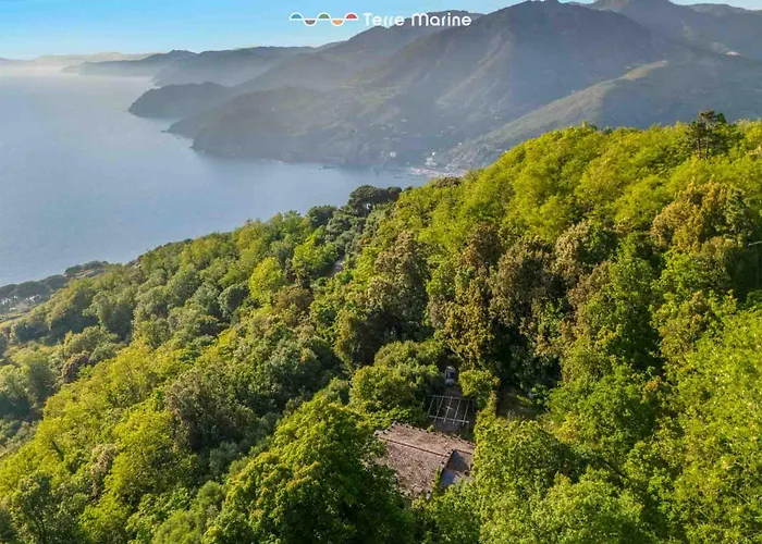 Vila Infinito, Terre Marine